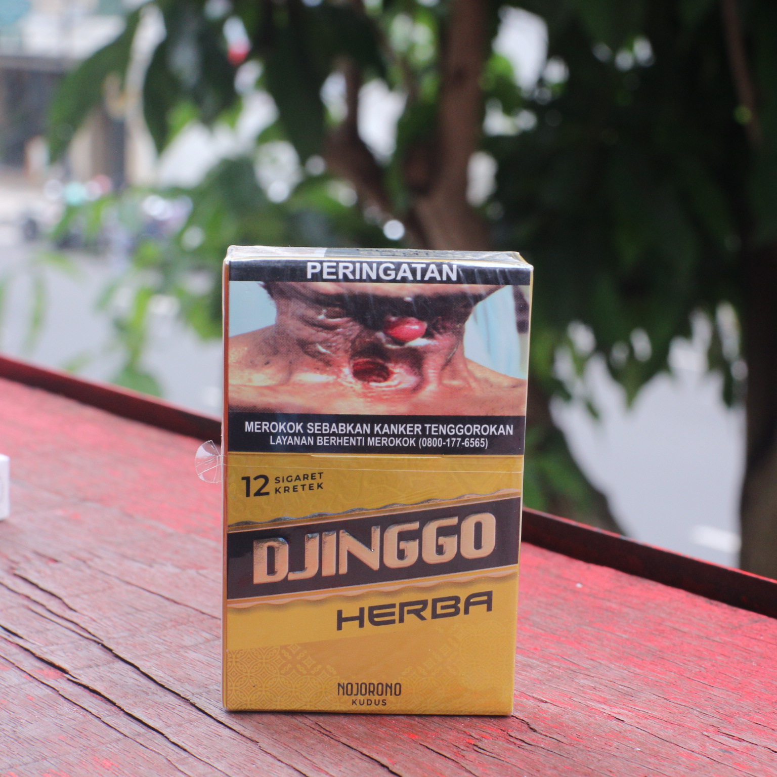 DJINGGO HERBAL 12 Batang